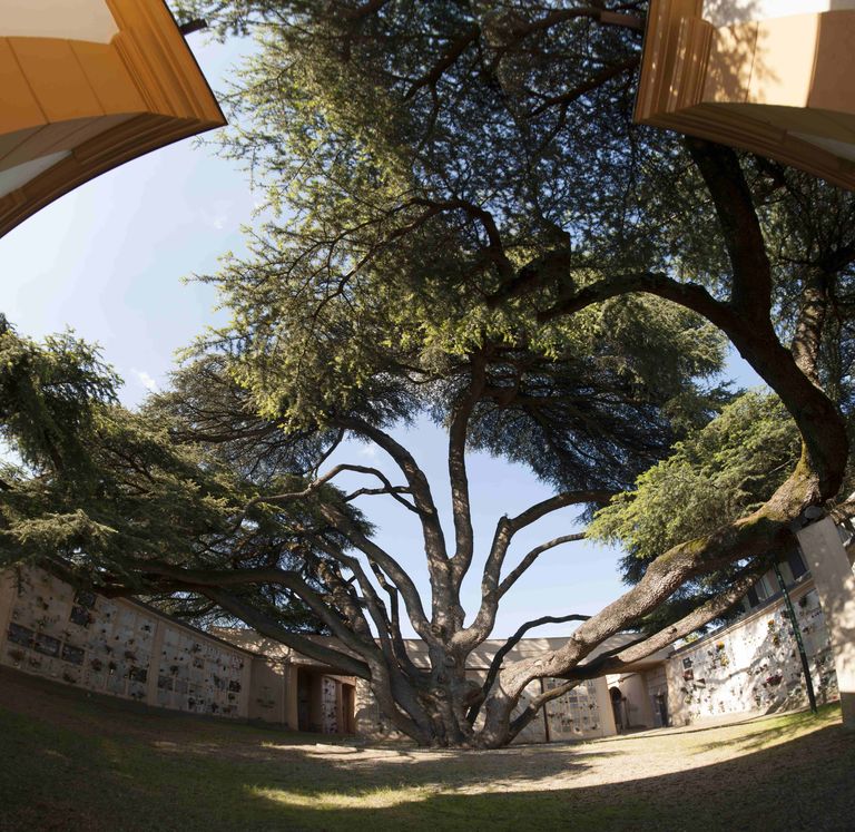 Foto di Andrea Bassani